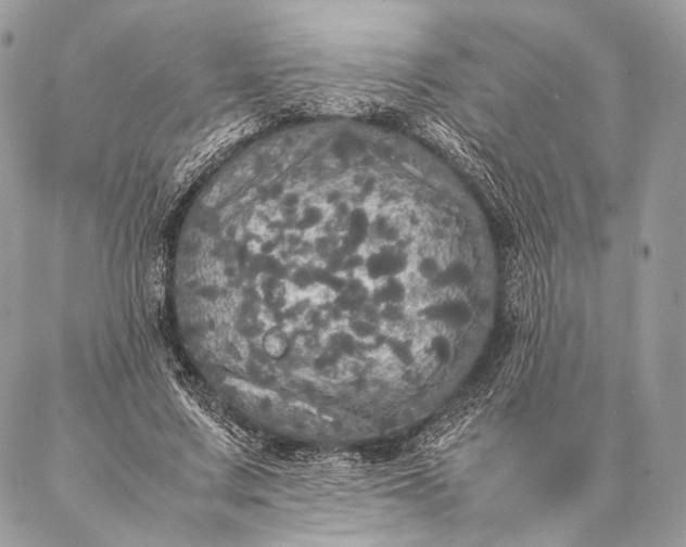 X0000087020683200704301315