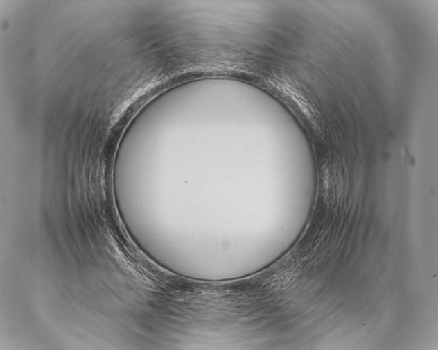 X0000087020684200704301315