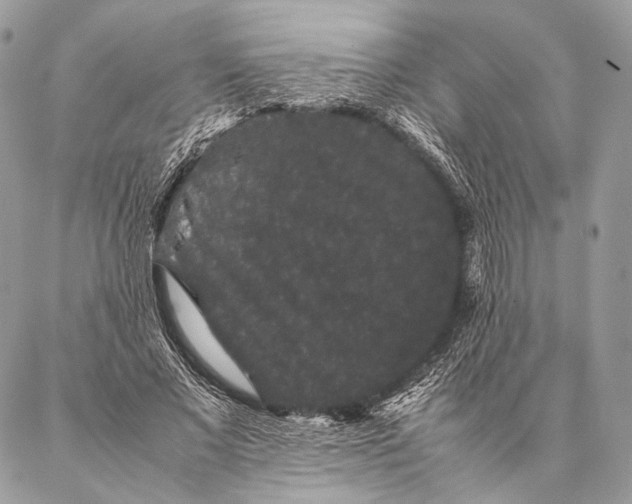 X0000087020685200704301315