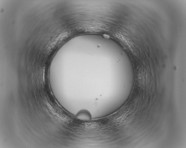 X0000087020686200704301315