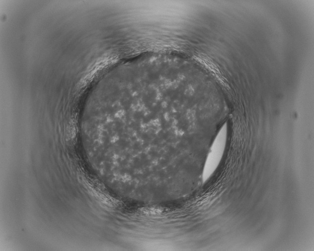 X0000087020687200704301315