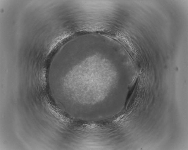 X0000087020688200704301315