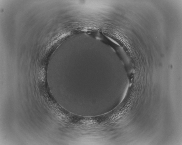 X0000087020689200704301315