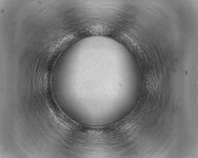 X0000087020690200704301315