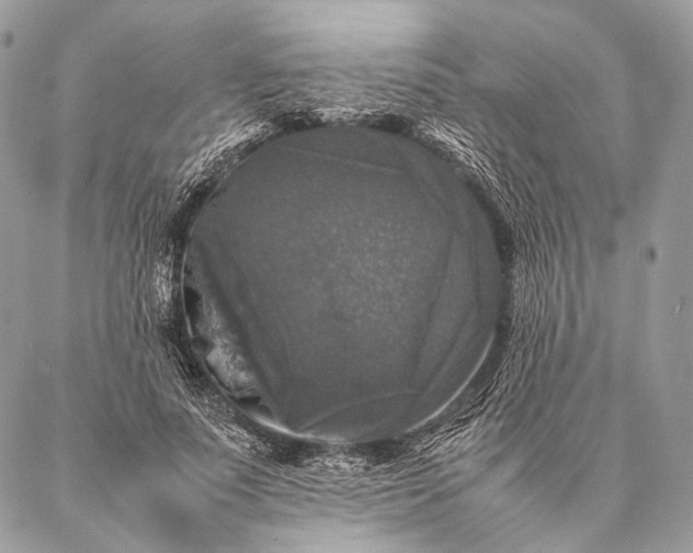 X0000087020691200704301315