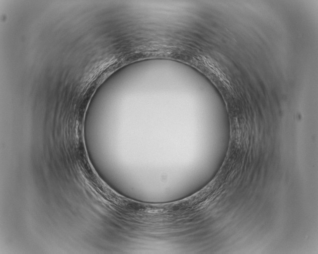 X0000087020692200704301314