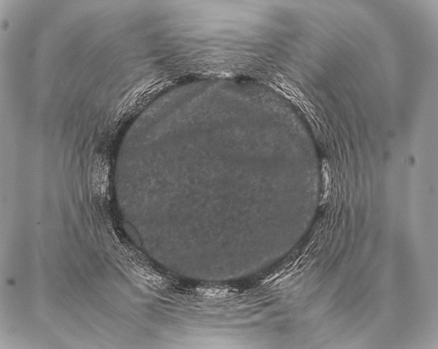 X0000087020693200704301314