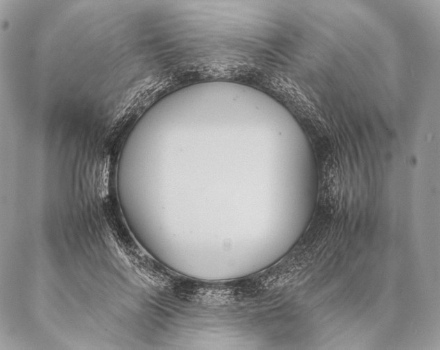 X0000087020694200704301314