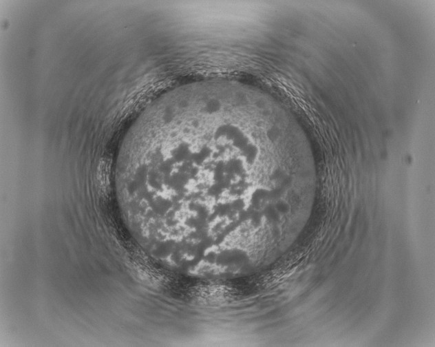 X0000087020695200704301314