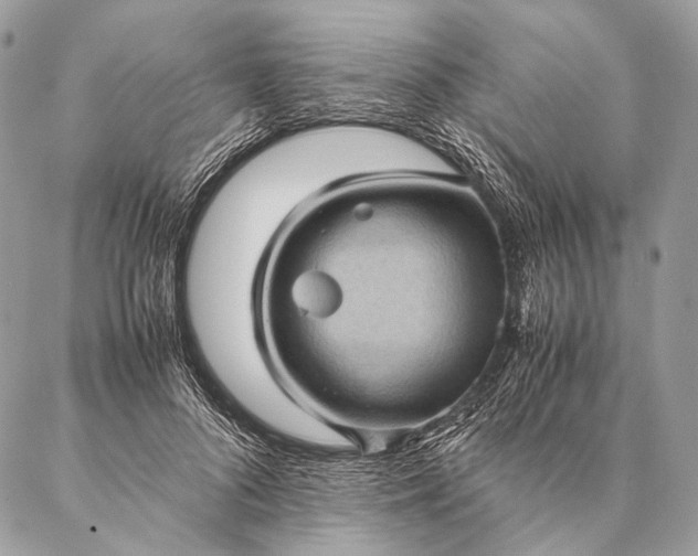 X0000087020696200704301314