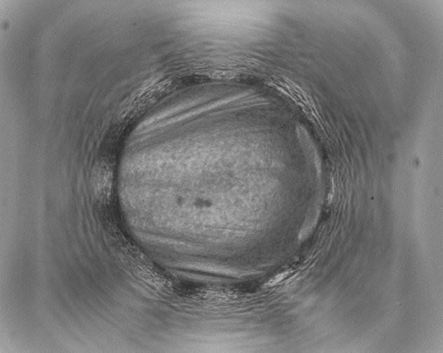 X0000087020697200704301314