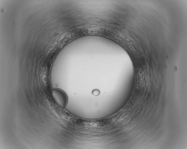 X0000087020698200704301314