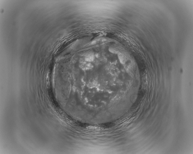 X0000087020699200704301314