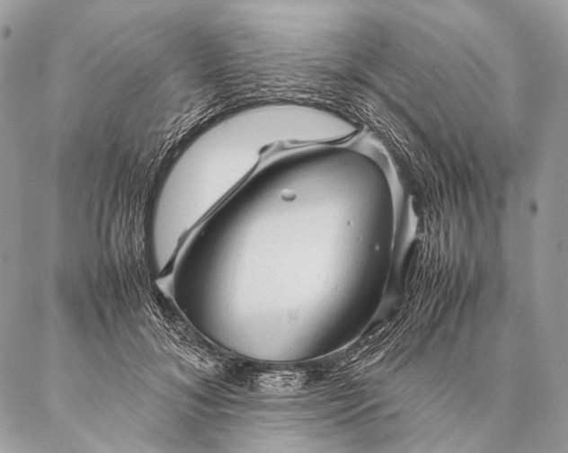 X0000087020700200704301314