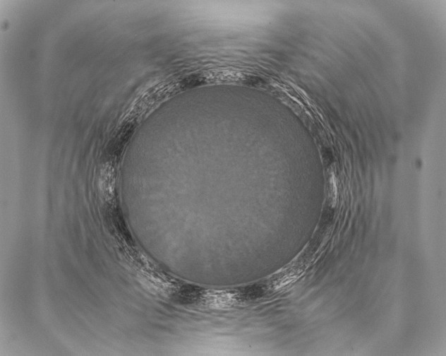 X0000087020701200704301314