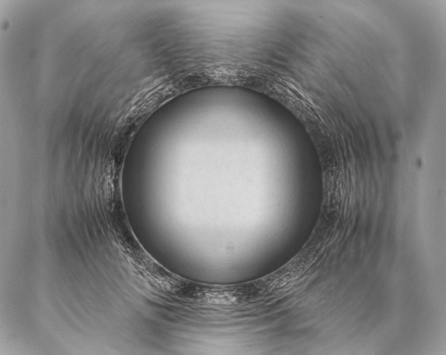 X0000087020702200704301314