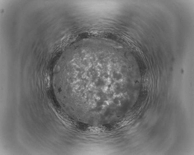 X0000087020703200704301314