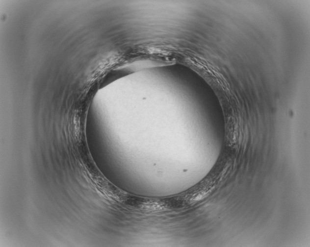 X0000087020704200704301314