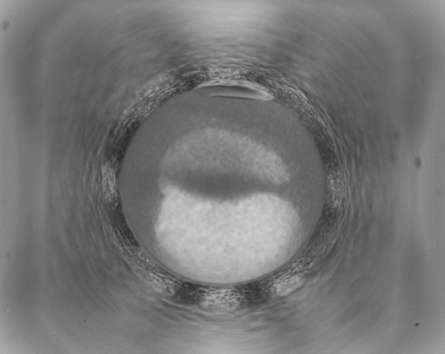 X0000087020705200704301314