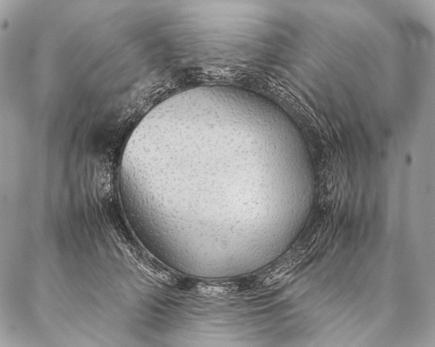 X0000087020706200704301314