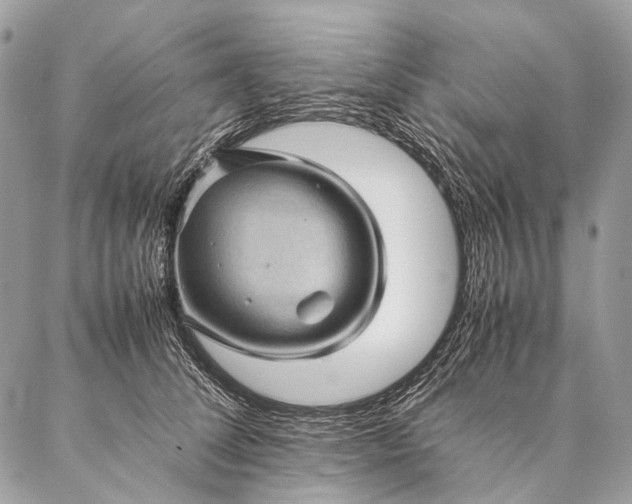 X0000087020708200704301314