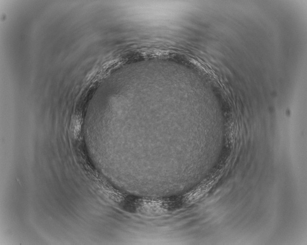 X0000087020709200704301314