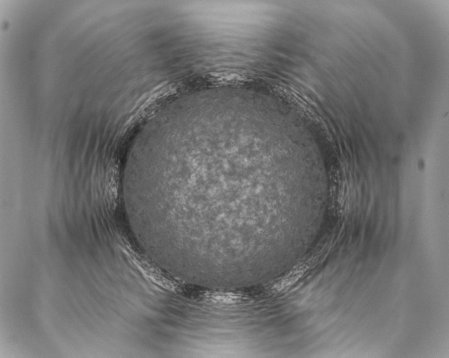 X0000087020710200704301314