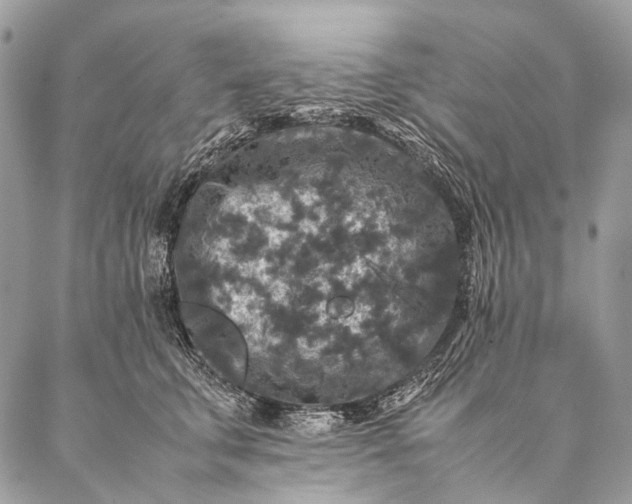 X0000087020711200704301314