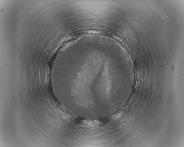 X0000087020712200704301314