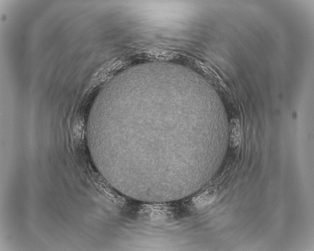 X0000087020713200704301314