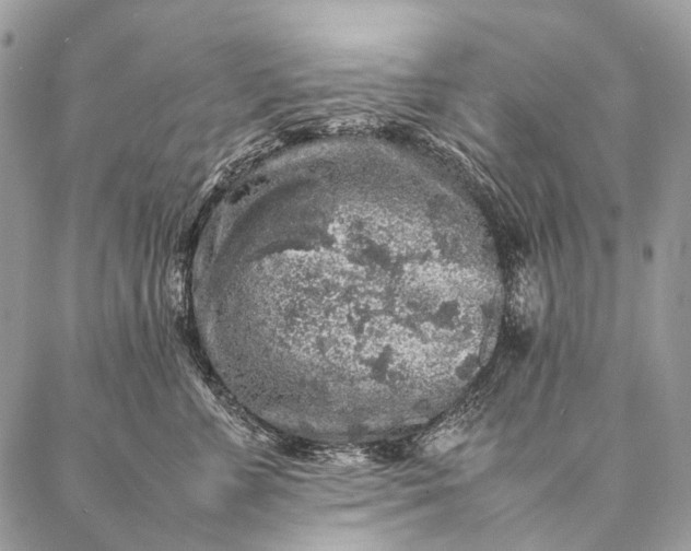 X0000087020715200704301314