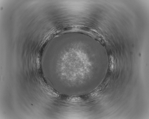 X0000087020716200704301314