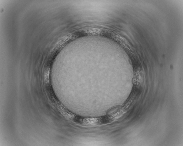 X0000087020717200704301314