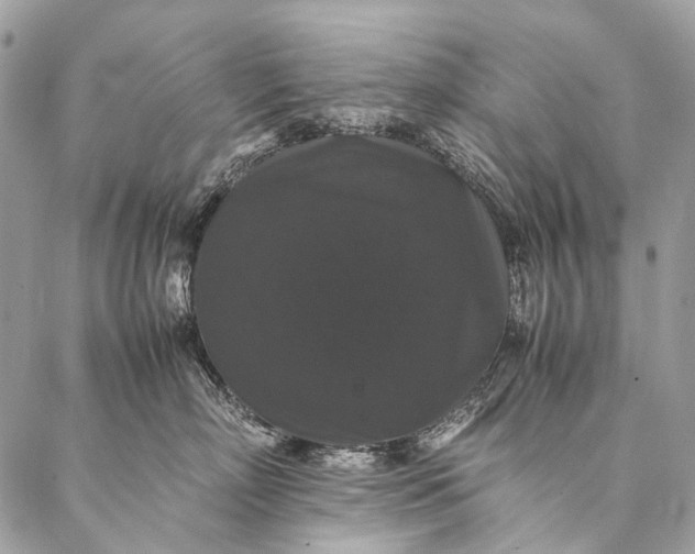 X0000087020718200704301314