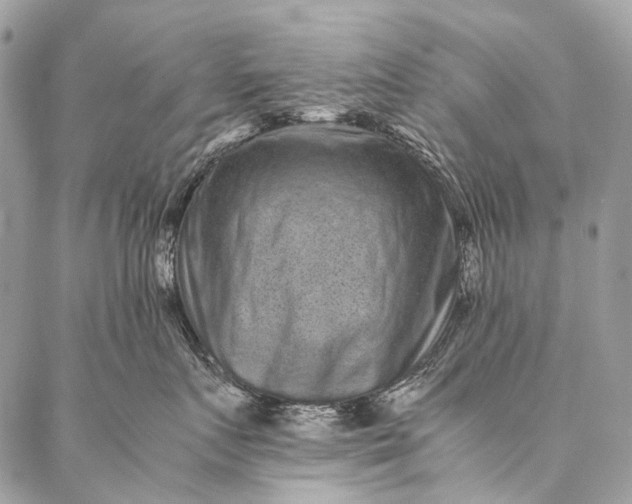 X0000087020719200704301314