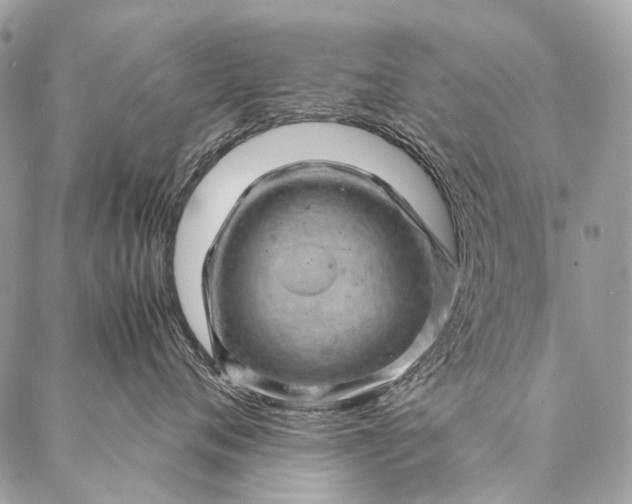 X0000087020720200704301314