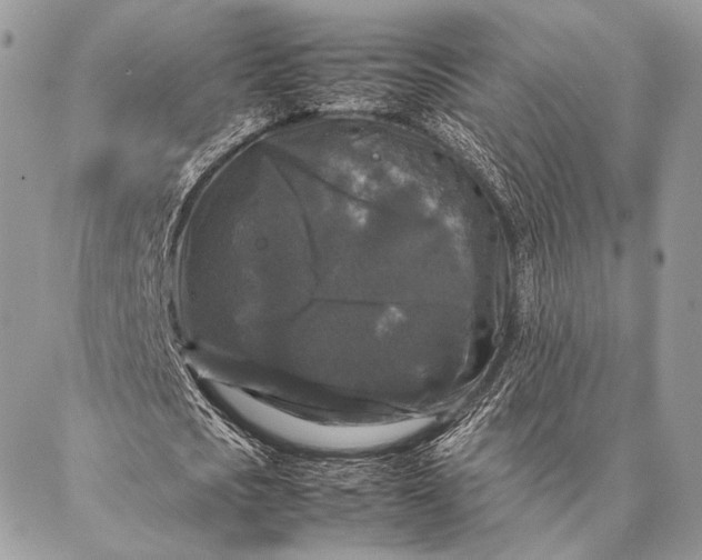 X0000087020721200704301313