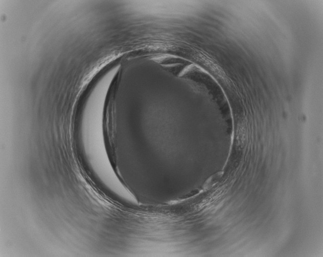 X0000087020722200704301313