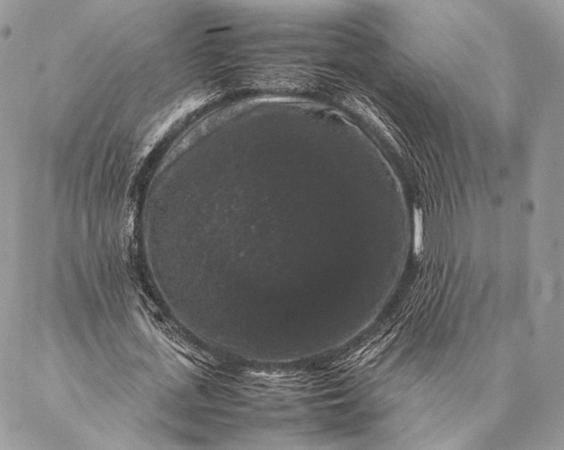 X0000087020723200704301313