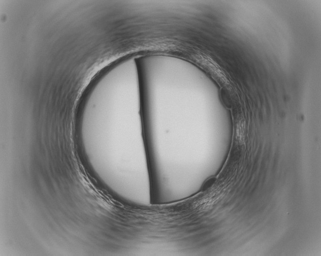 X0000087020724200704301313