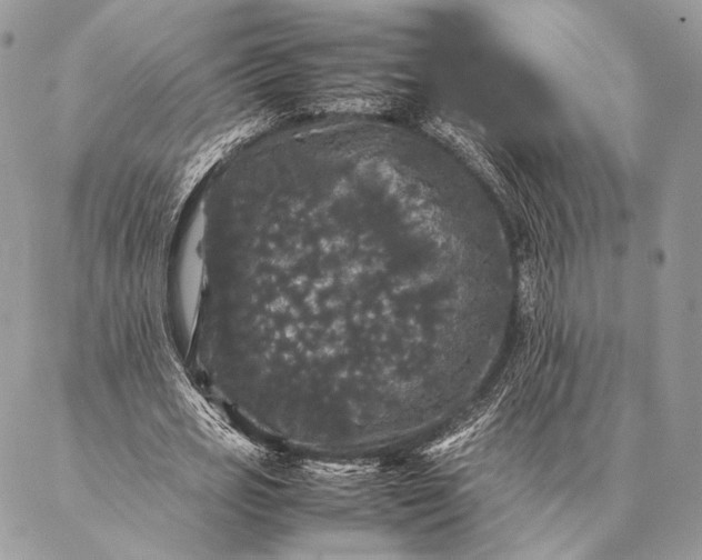 X0000087020725200704301313