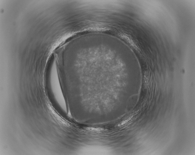 X0000087020726200704301313