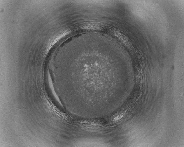 X0000087020727200704301313