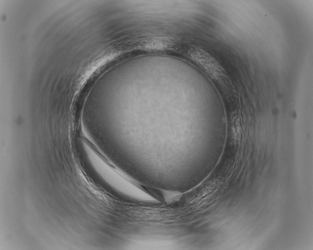 X0000087020728200704301313