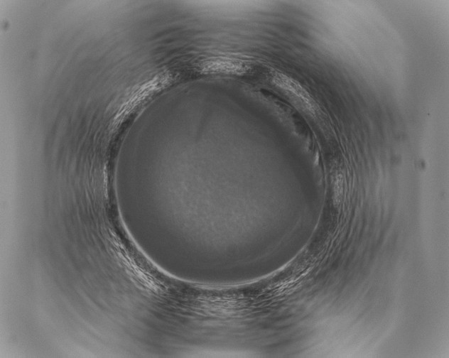 X0000087020729200704301313