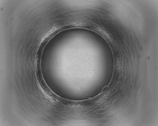 X0000087020730200704301313