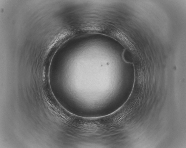 X0000087020731200704301313