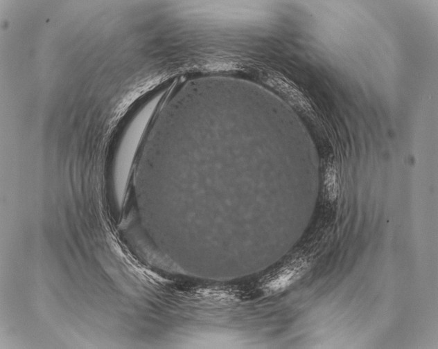 X0000087020732200704301313