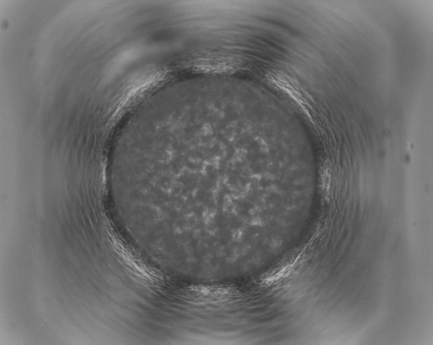 X0000087020733200704301313