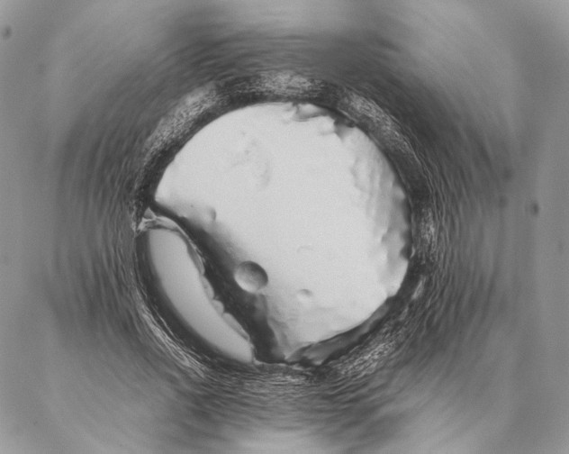 X0000087020734200704301313